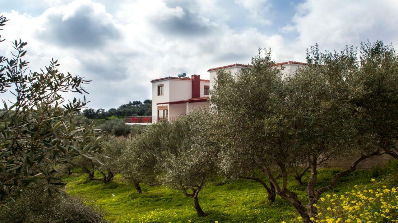 Fοivos And Athina Villas Архане Екстер'єр фото