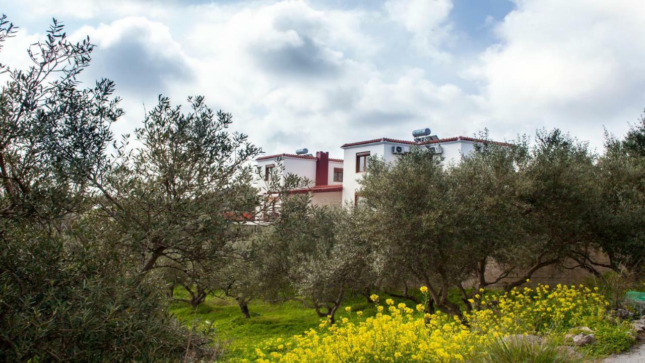 Fοivos And Athina Villas Архане Екстер'єр фото