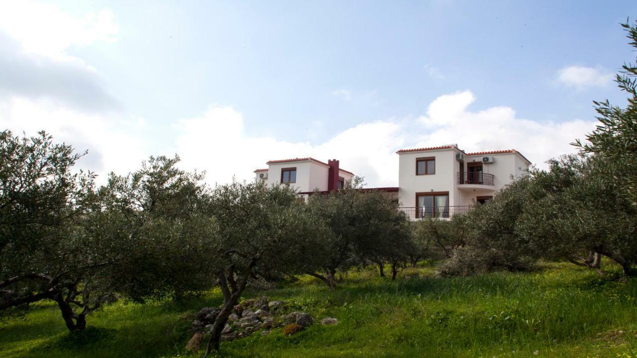 Fοivos And Athina Villas Архане Екстер'єр фото